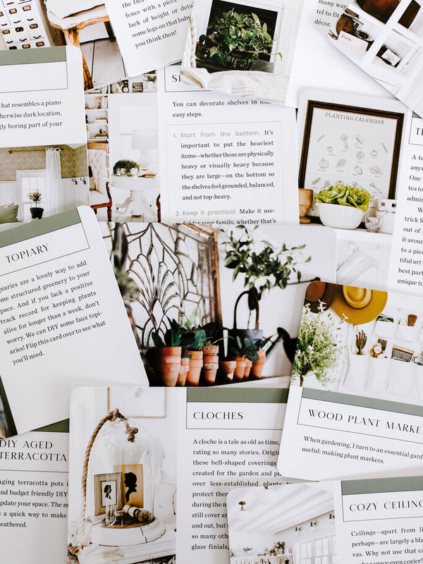 31 Cozy Home Ideas