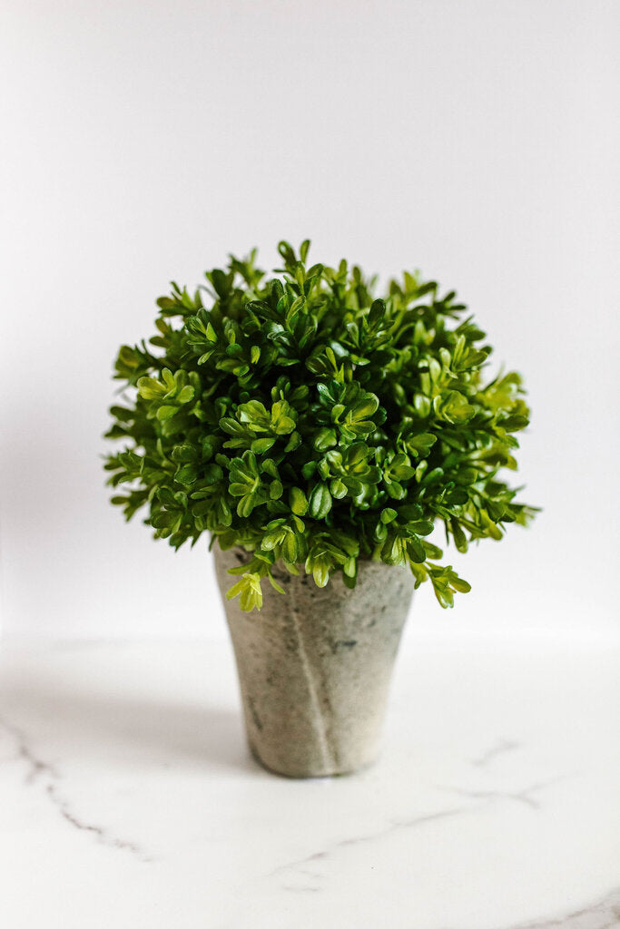 9" faux boxwood potted shrub