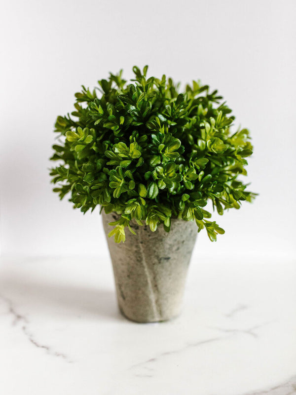 9" faux boxwood potted shrub