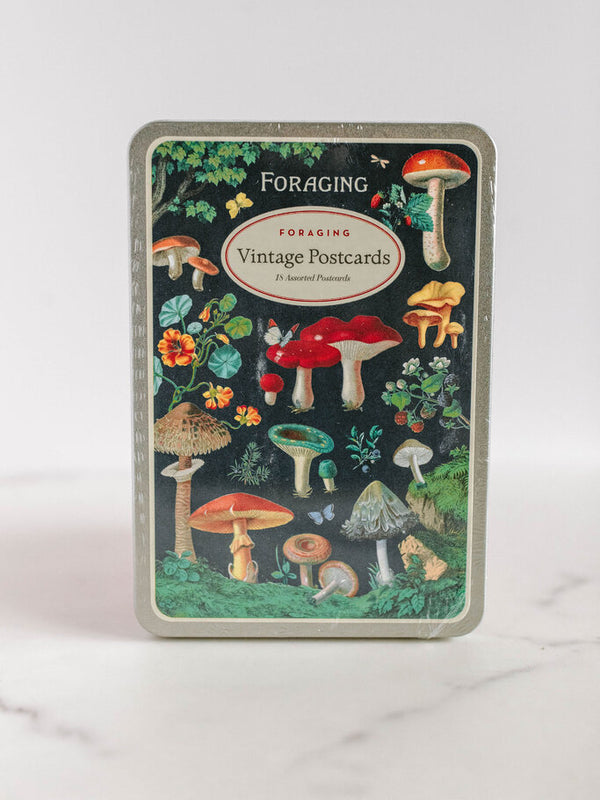 foraging postcard set