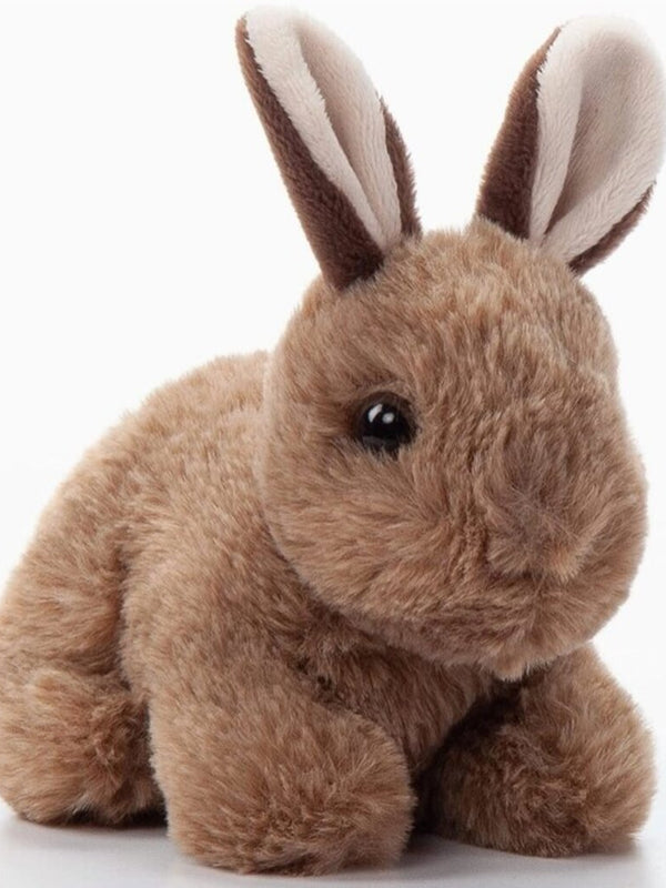 baby bunny