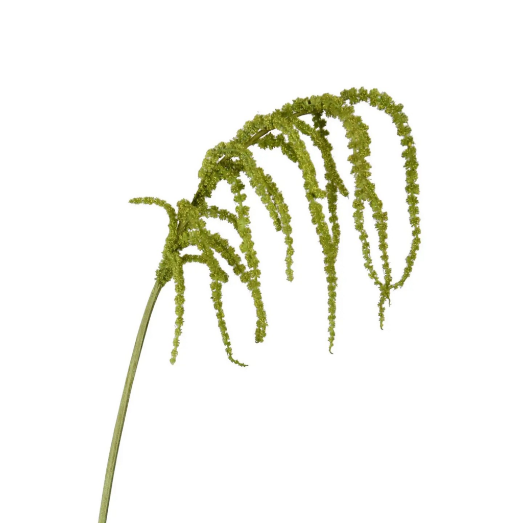 39" Amaranthus hanging spray