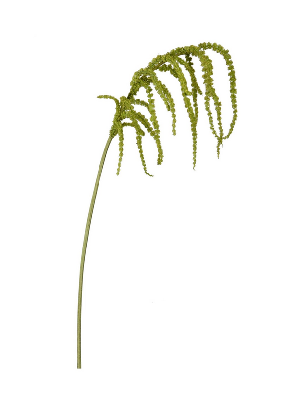 39" Amaranthus hanging spray