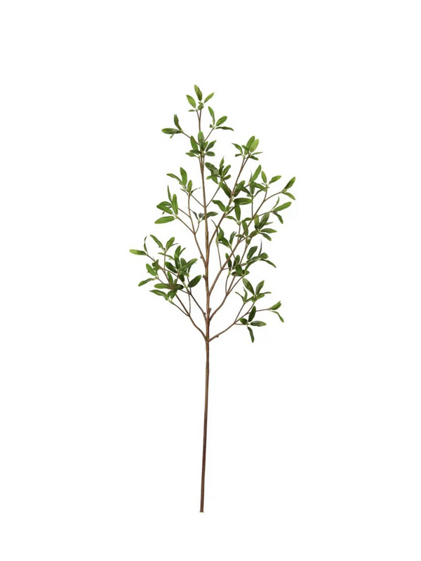 33" coprosma kirkii spray