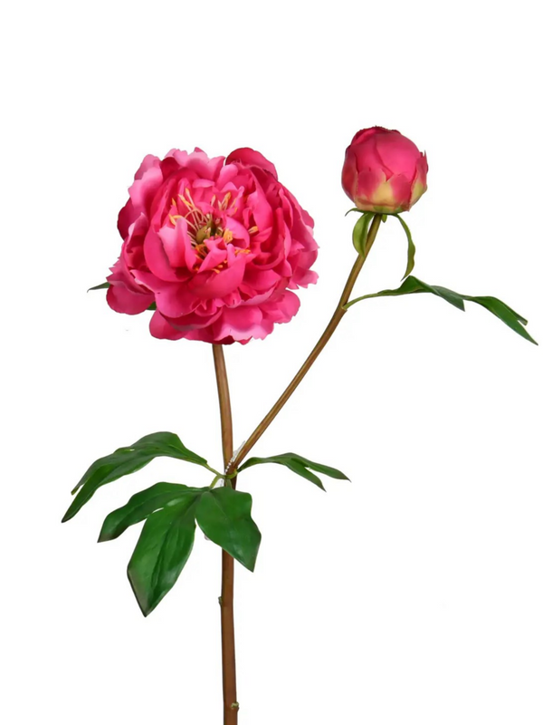 24.5" fuchsia real touch peony flower bloom
