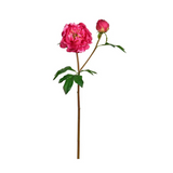 24.5" fuchsia real touch peony flower bloom