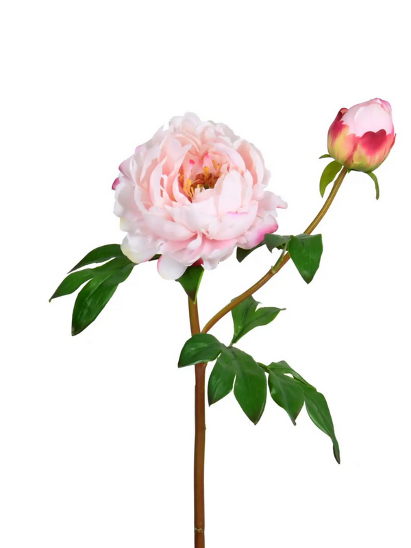 24.5" light pink real touch peony flower bloom