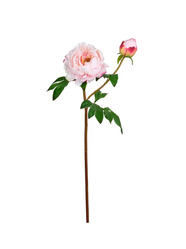 24.5" light pink real touch peony flower bloom