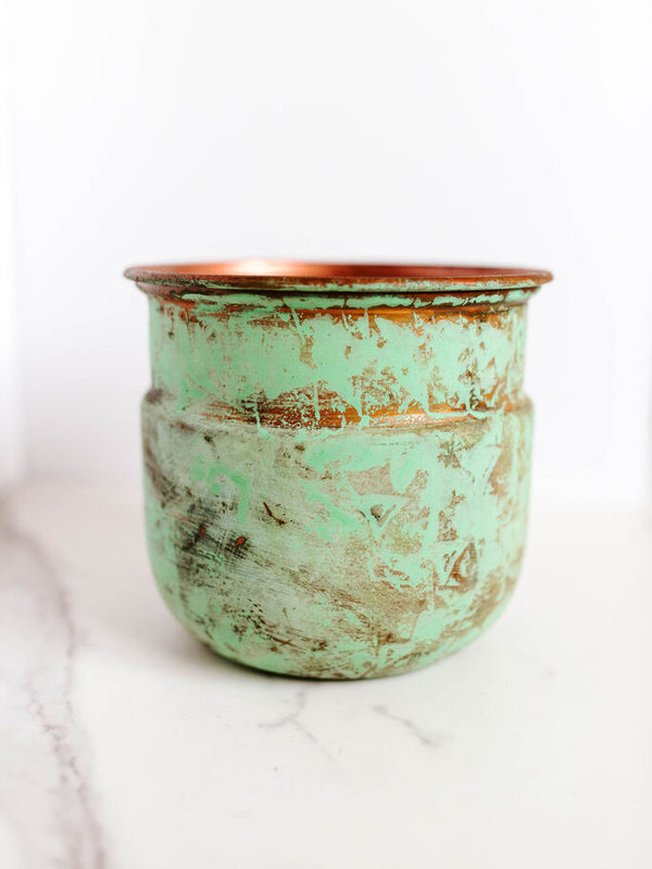 medium tulip planter