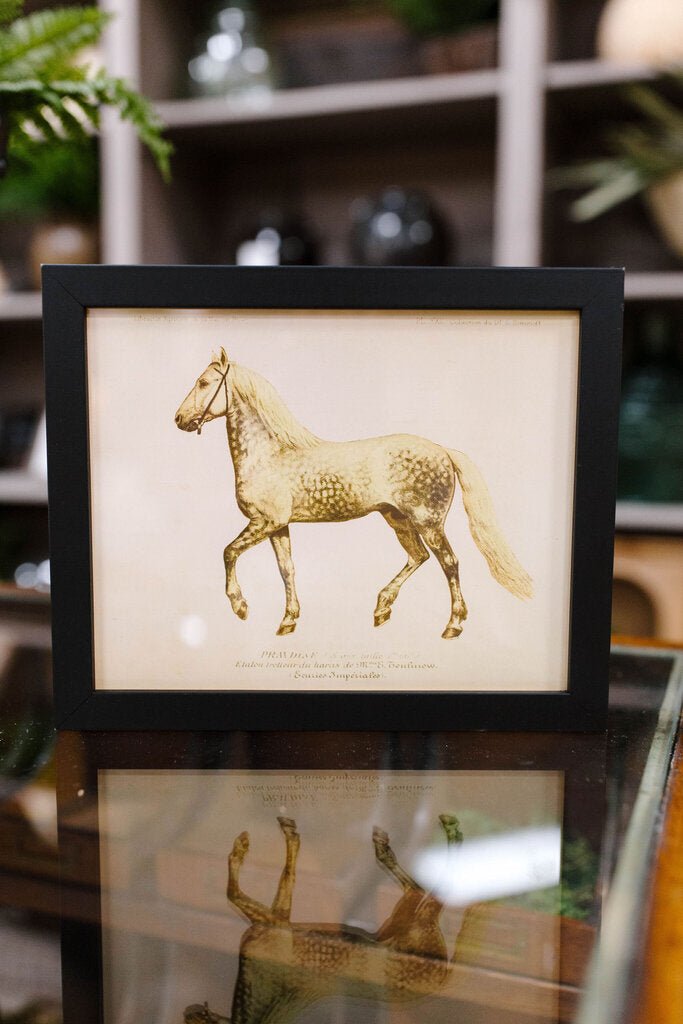 white horse bookplate