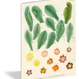 set of 3 kitchen delights notebooks