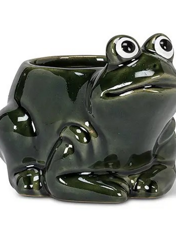Small Crouched Frog Planter