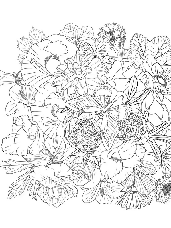Wildflowers Adult Coloring Book