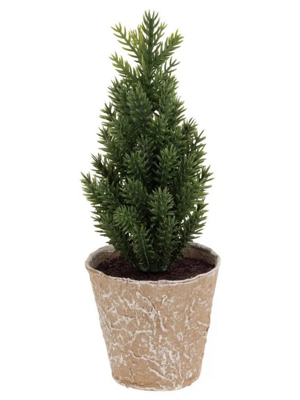 6.75" Tall Paper Pot Plain Pine Tree Christmas