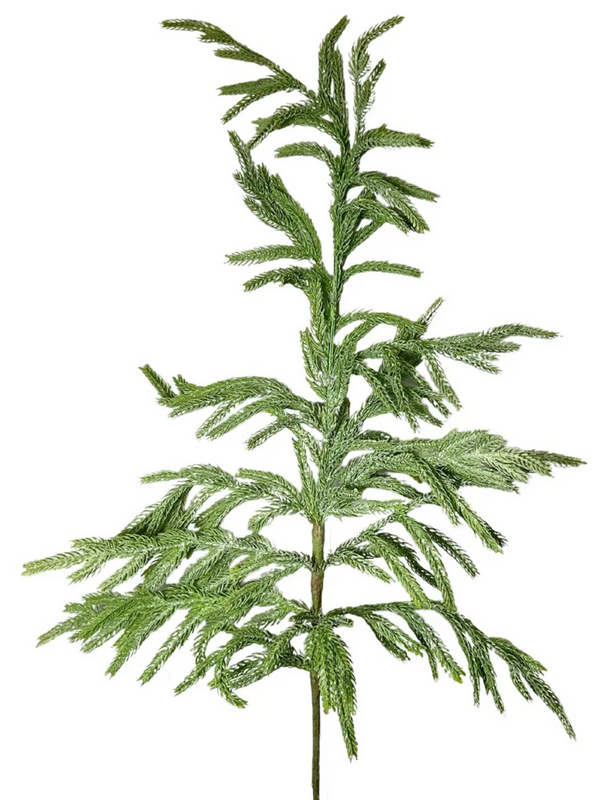 36" Eastern norfolk pine christmas spray