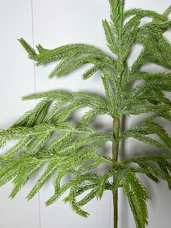 36" Eastern norfolk pine christmas spray