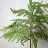 36" Eastern norfolk pine christmas spray