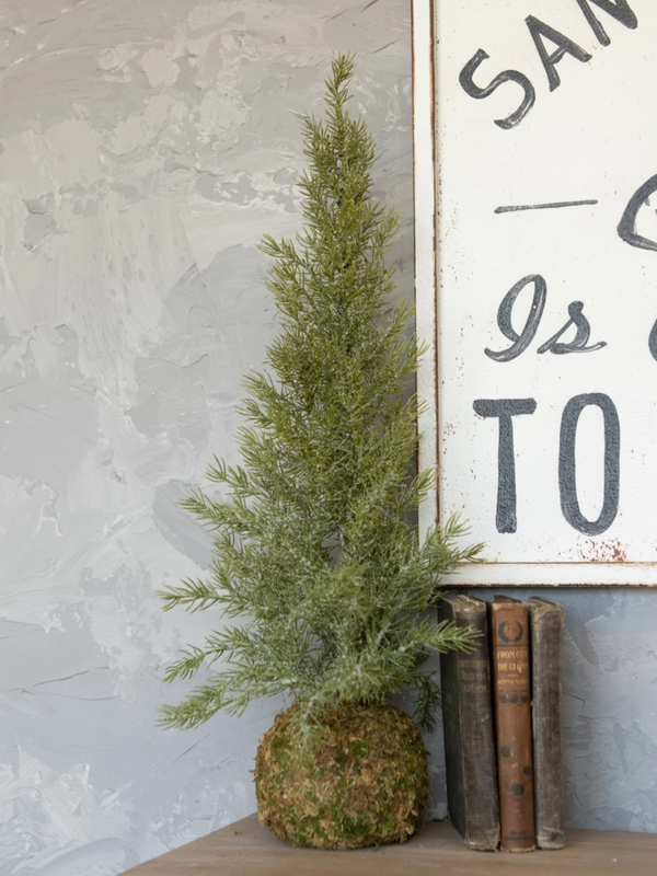 Pine Tree with Moss Ball Base