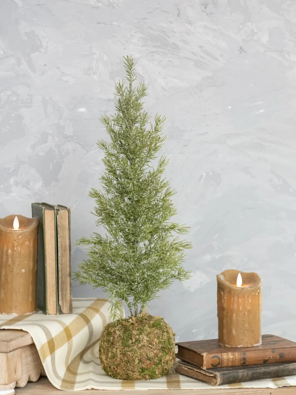 21.75" pine tree with moss ball base