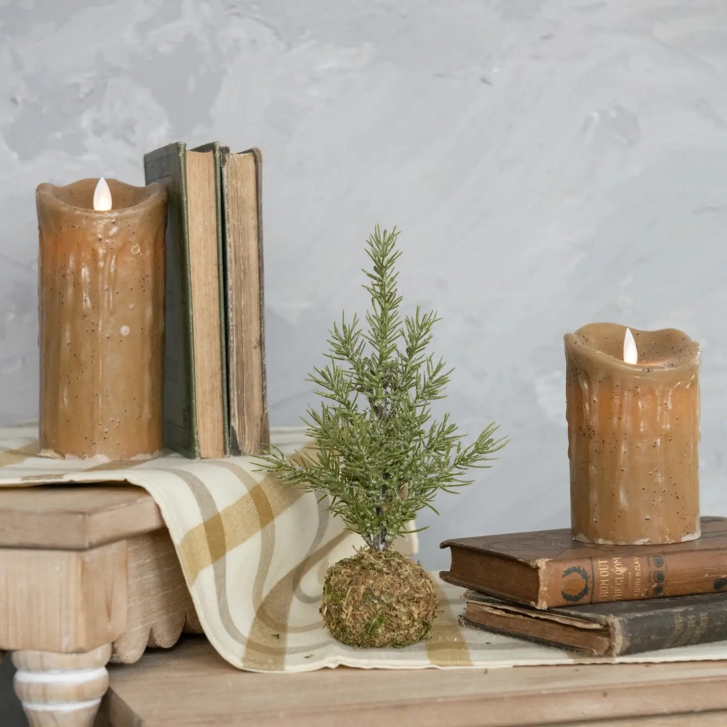 9.25" Pine Tree w/ Moss Ball Base