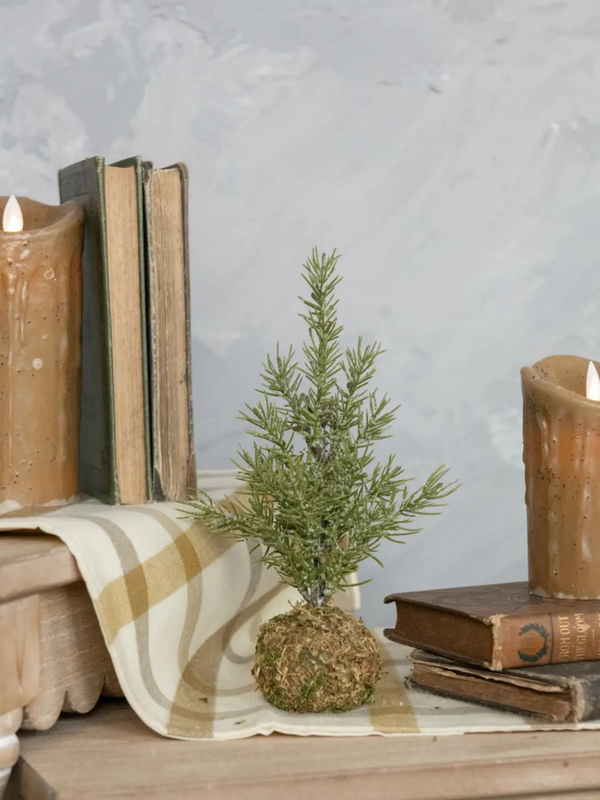 9.25" Pine Tree w/ Moss Ball Base