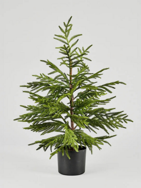 Artificial Norfolk Pine Tree - 36"