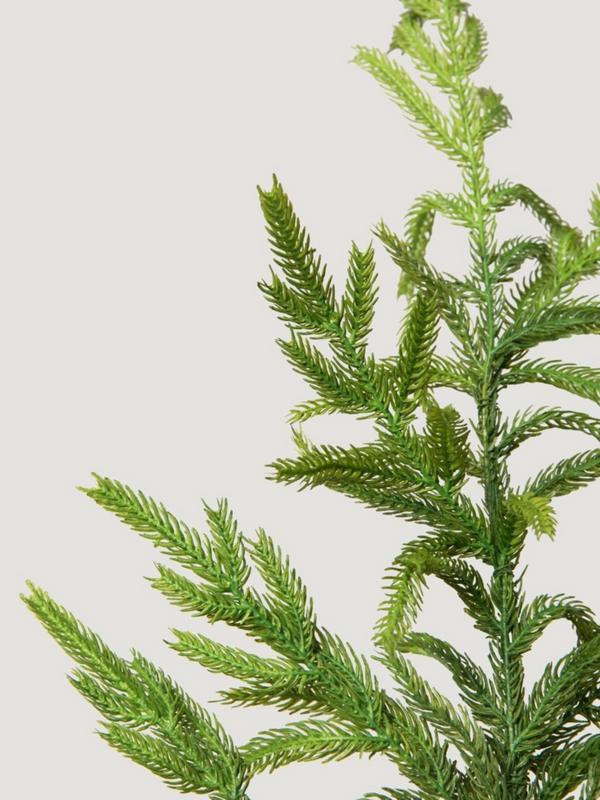 Real Touch Norfolk Pine Branch - 36"