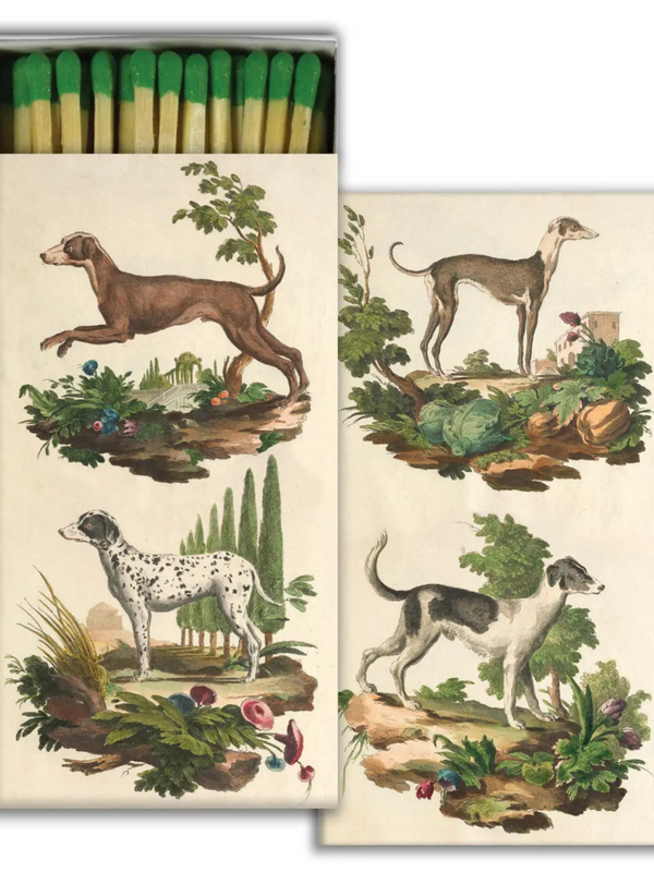 Italian dogs matches