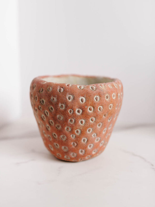 Strawberry Planter