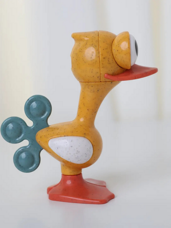 Crazy Eyed Bird
