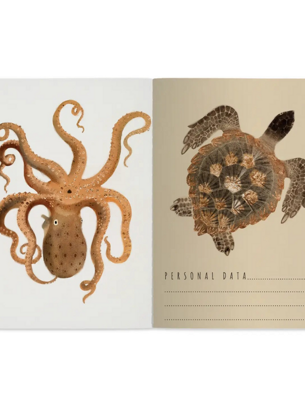 deep sea notebook