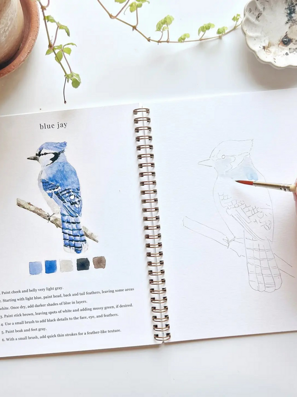 birds watercolor workbook