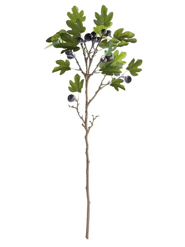 46" fig branch with figs