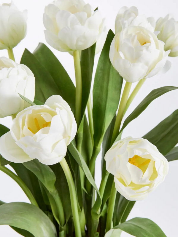 peony tulip in white (18")