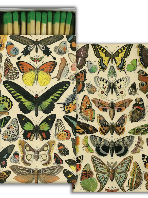 Matches - Butterfly Specimens