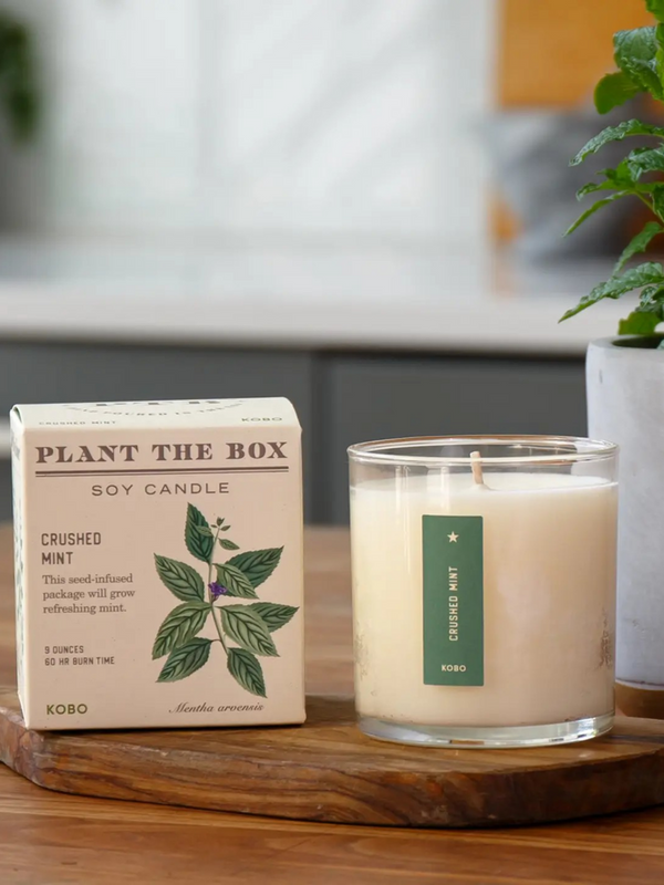 Crushed Mint Candle, 9oz