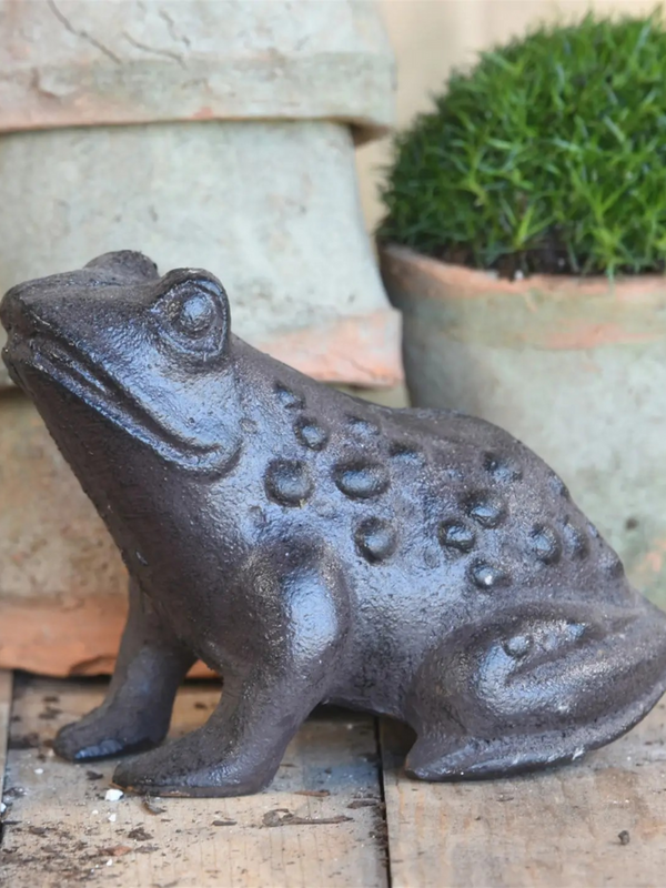 Cast Iron Garden Frog