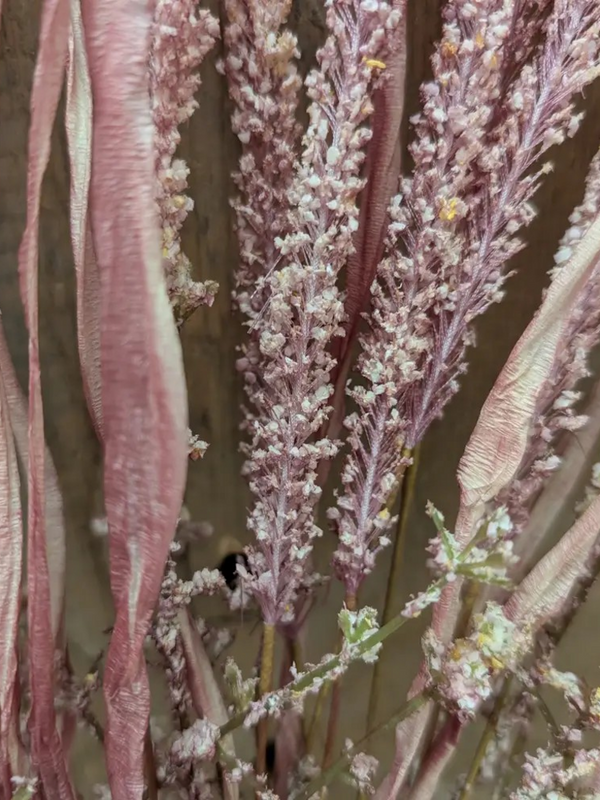 15" finger thistle bunch in pink