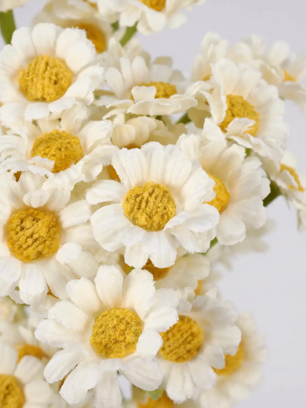 Miniature Daisies Bouquet