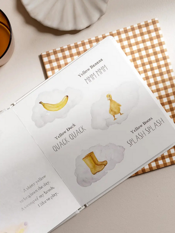 Wishy Washy: A Board Book of First Words and Colors