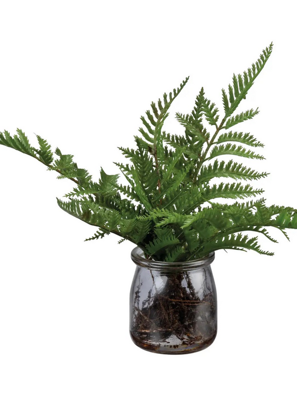 fern jar
