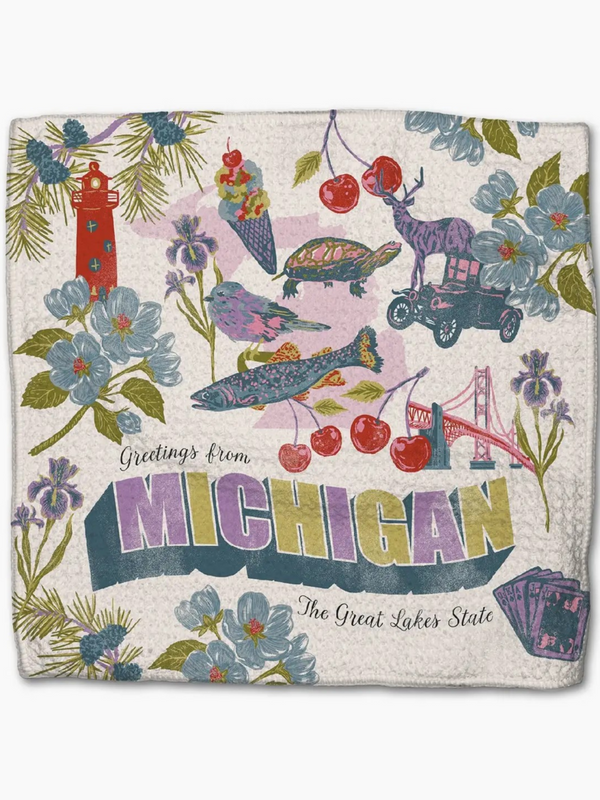 greetings from Michigan dishcloth set