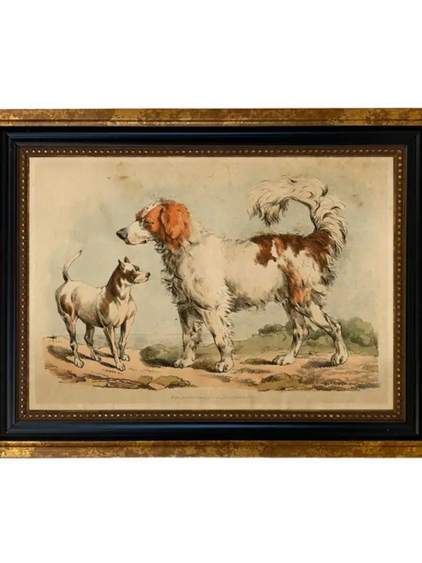 two dogs vintage book illustration vintage print in beaded frame (5"x7")