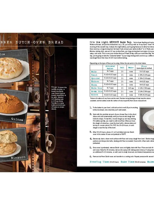 Wild Bread: Sourdough Reinvented Cookbook