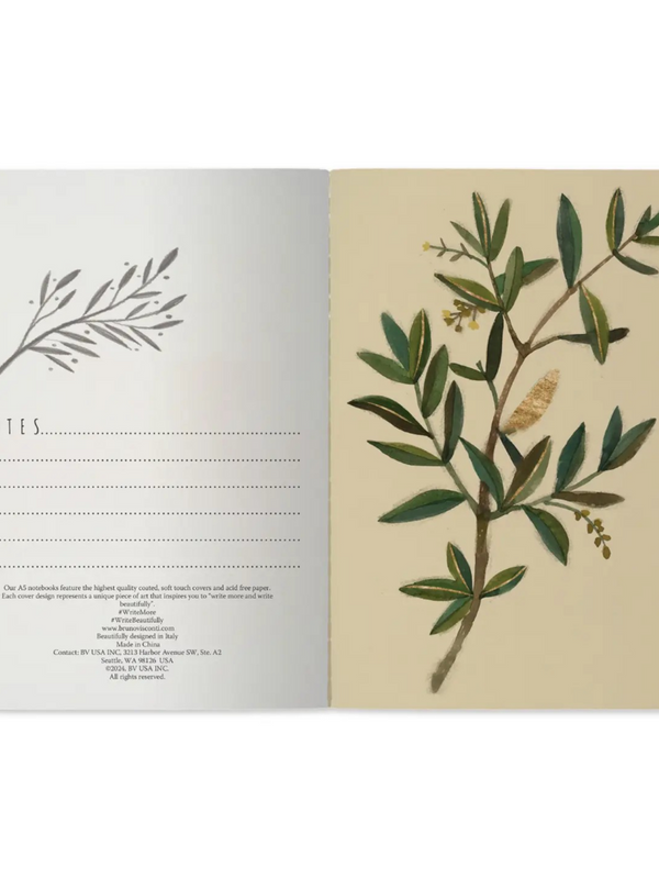 Notebook - Olive