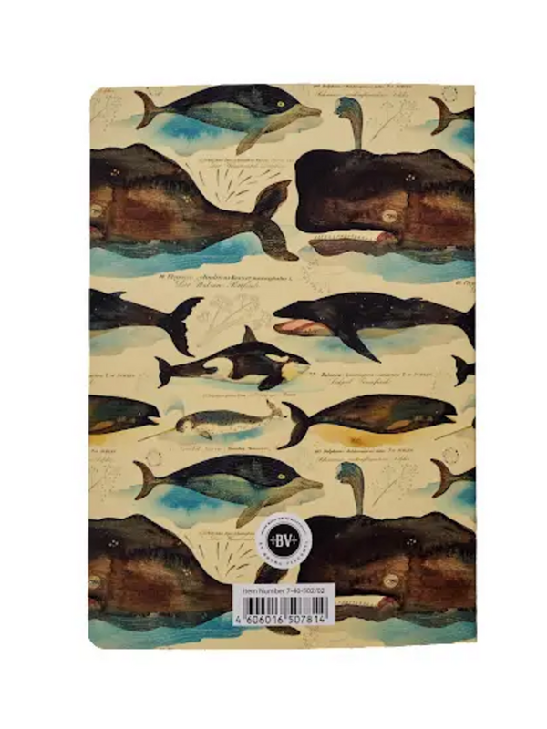 whales notebook
