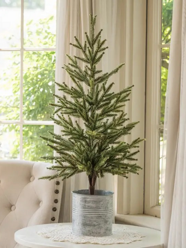 30" single needle pine tree