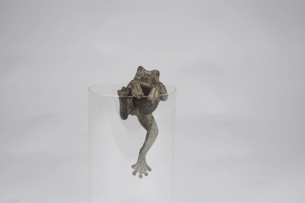 frog pot hanger