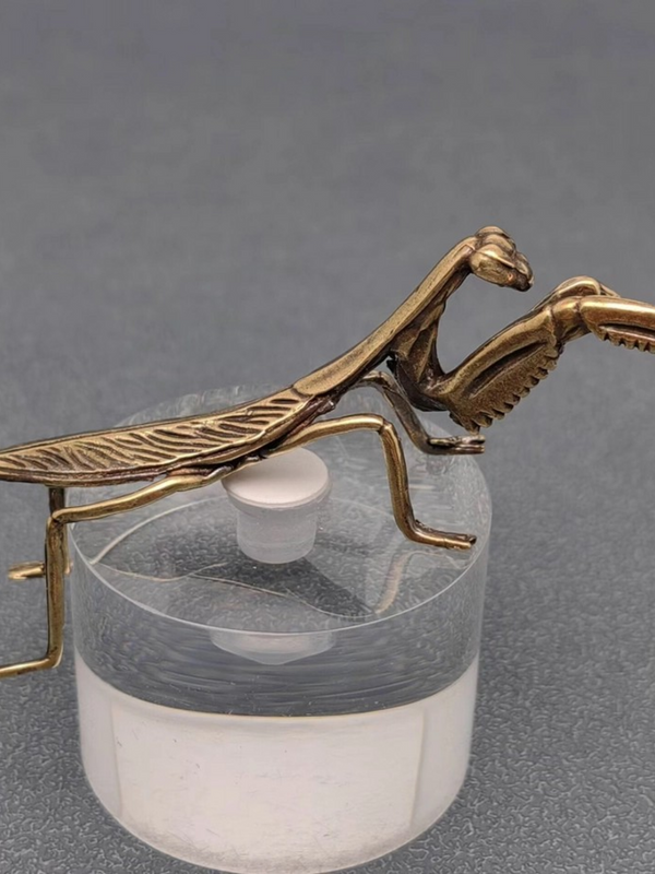 brass mantis surface decor