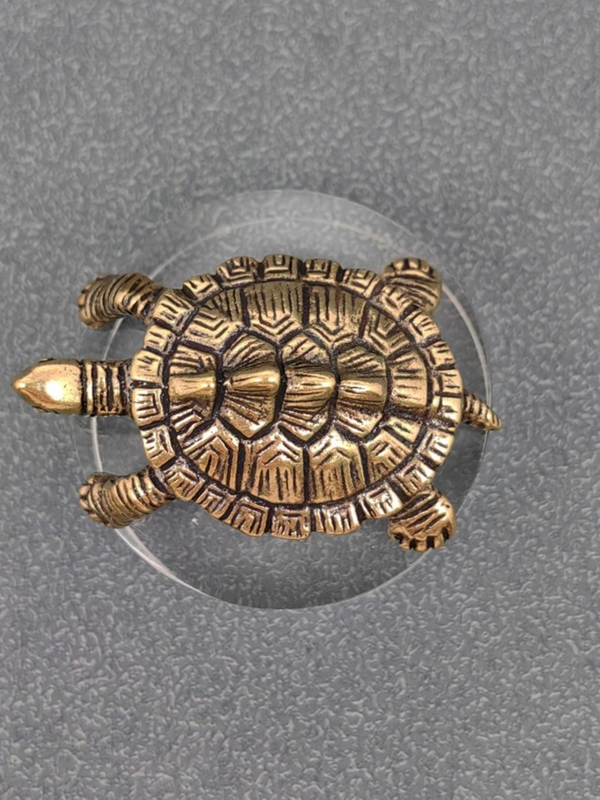 brass money turtle surface decor
